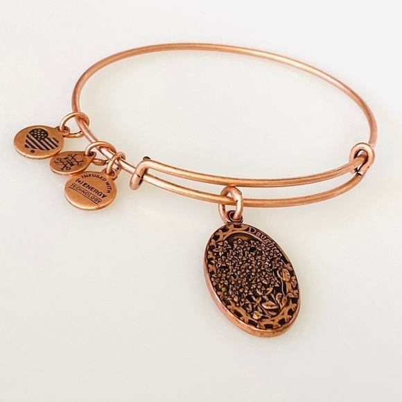Alex and Ani Daughter Bracelet Rafaelian Rose Gold - Picture 1 of 4